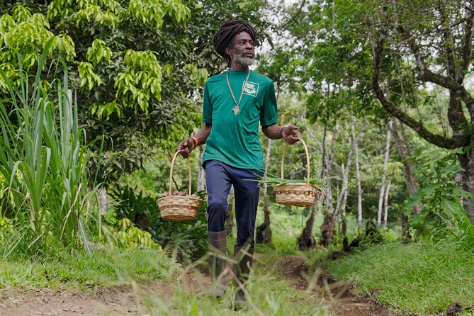 Liamuiga Natural Farm Tour - St.Kitts' Coffee Farm - The open-air military truck ride is the main event
