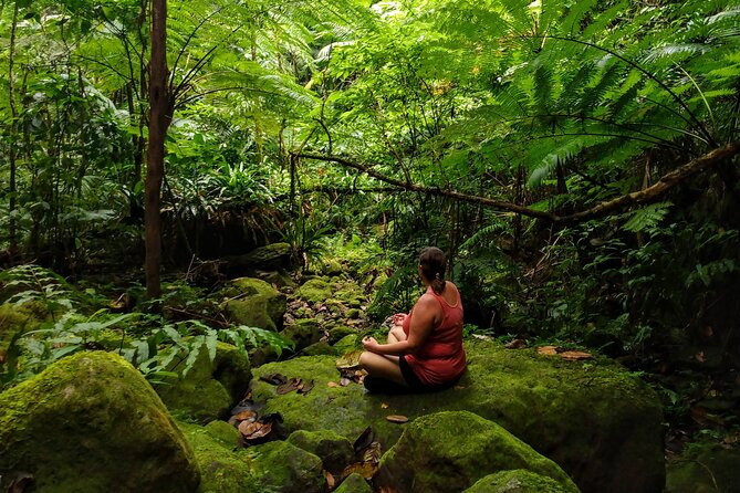Mindfulness Rainforest Hike, Forest Bathing, Volcanic Hot Springs - Key Things I’d Zoom In On