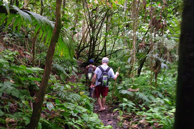 Mindfulness Rainforest Hike, Forest Bathing, Volcanic Hot Springs - Meditation, Stretches, and Self-Massage: The Body Help You Can Feel