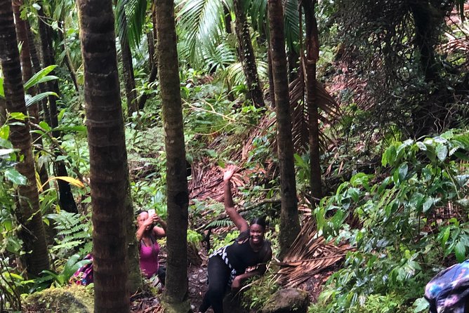 Mount Liamuiga Volcano Tours - Mount Liamuiga is more than a climb, it is the view and the meaning