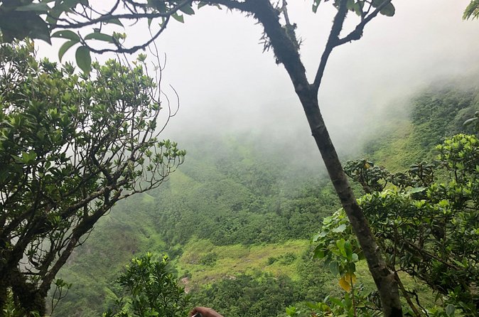 Mount Liamuiga Volcano Tours - The ascent to the summit: what the climb demands