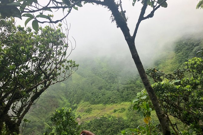 Mount Liamuiga Volcano Tours - Price and value: is $80 fair for a 5-hour volcano hike?