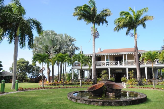 Nevis Island Half-Day Tour - Who should book this Nevis half-day tour