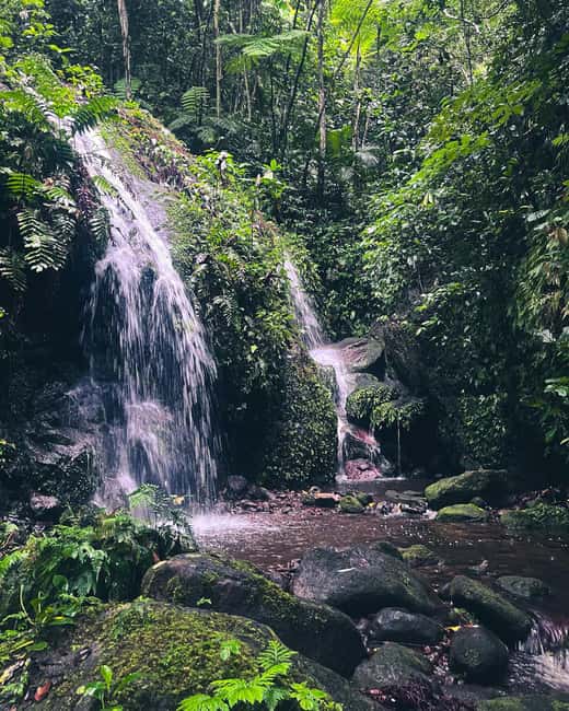 Nevis Waterfalls/Russel's Rest Hike - The Walk Through Nevis: Birds, Palms, Cocoa, and Bamboo