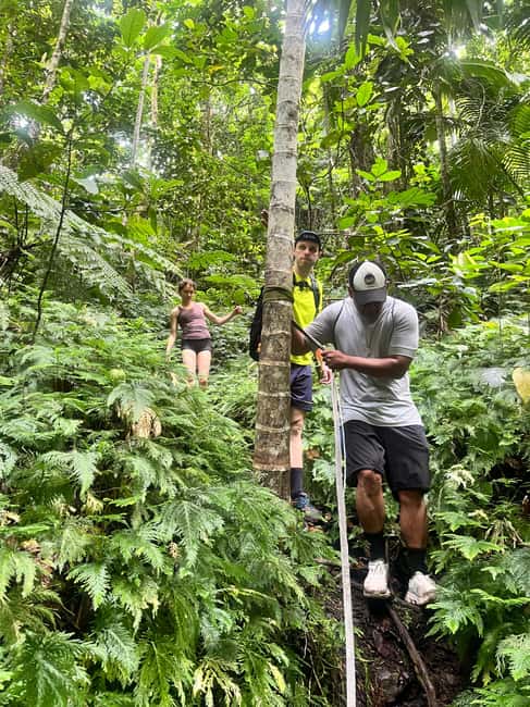 Nevis Waterfalls/Russel's Rest Hike - Seven Waterfalls and Cool Natural Pools You Can Feel in Your Body