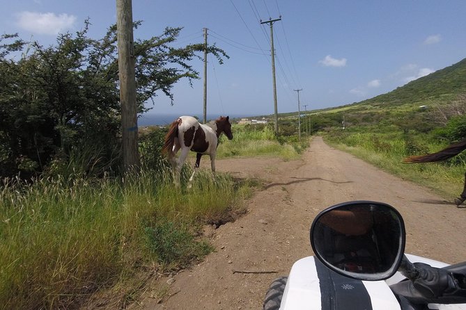 Off roading Morning Excursion - From Frigate Bay to Off-Road St Kitts, Without Waiting Around