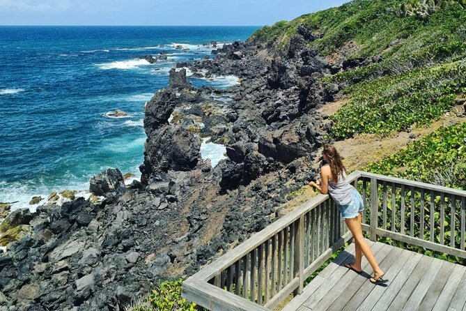 Panoramic Full Island Tour With Lunch And Beach - A half-day loop that covers St Kitts at road-trip speed