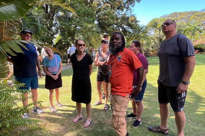 Panoramic Full Island Tour With Lunch And Beach - Price and value: what you really get for $105 per person