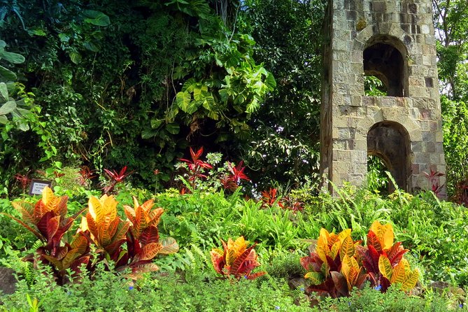 Panoramic Sightseeing Tour of St Kitts - Who this private St Kitts tour fits best