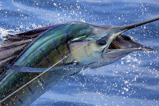 Private Fishing & Snorkel Charters in St Kitts and Nevis - First Steps on the Water from Oualie Beach