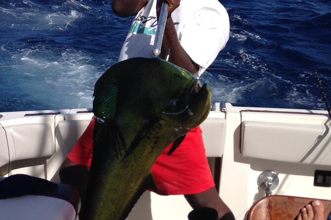 Private Fishing & Snorkel Charters in St Kitts and Nevis - How the 6 Hours Actually Play Out