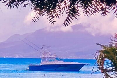 Private Fishing & Snorkel Charters in St Kitts and Nevis