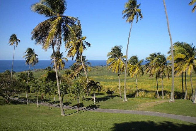 Private Tour in St. Kitts - Key highlights worth your time