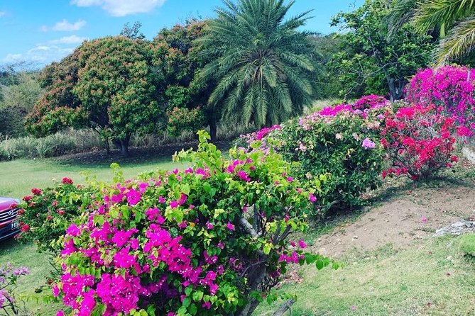 Private Tour in St. Kitts - A private day means you can actually enjoy the ride between stops