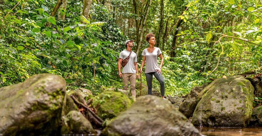 Rainforest Adventure - Key highlights worth getting excited about