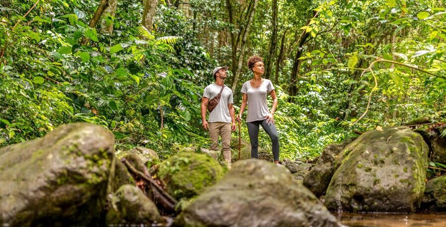 Rainforest Adventure - How this 3-hour rainforest adventure really feels on your day