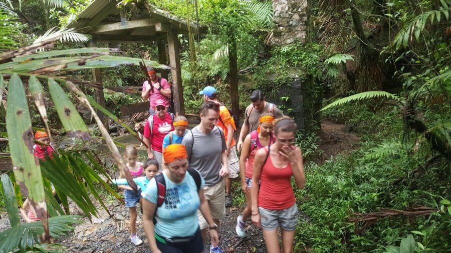 Rainforest Adventure - Old Road Town: where the guided part earns its keep