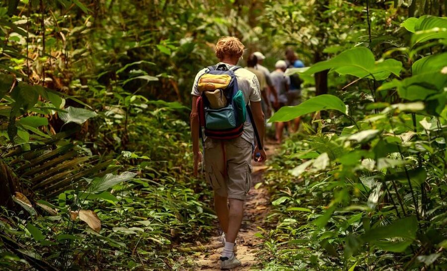 Rainforest Adventure - Pickup and transport: Jeep/SUV comfort plus short transfer time