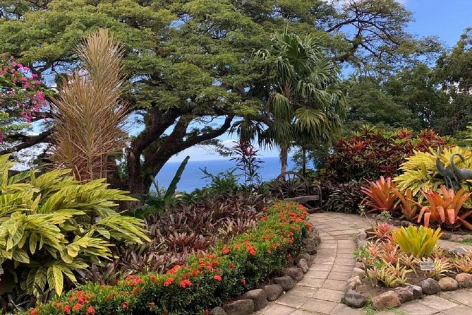 Rosevelt's Special Best of St. Kitts/Panoramic Tour - Romney Manor: A Short Visit with a Famous Family Link
