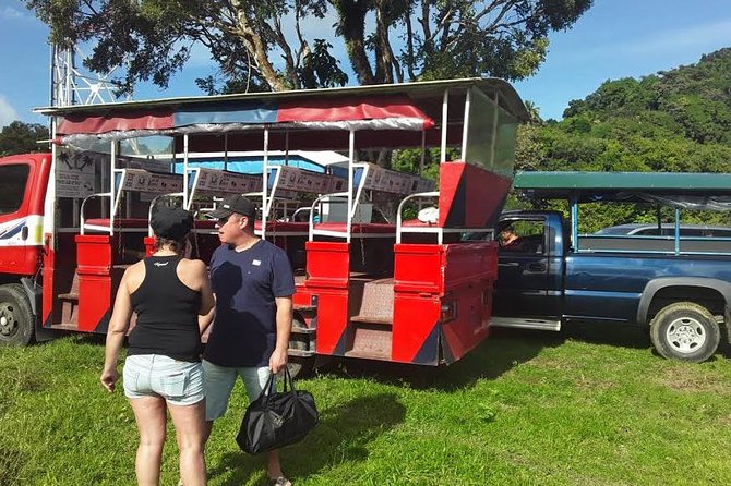 Safari Extravaganza - A half-day St Kitts safari that actually fits your day