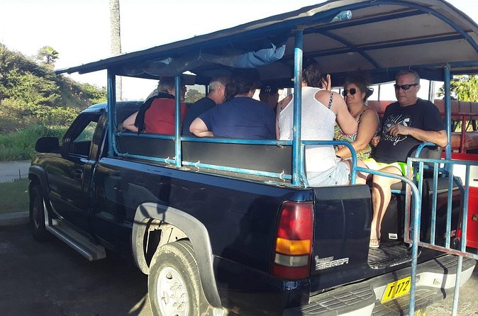 Safari Extravaganza - Pickup, open vehicle style, and what group travel feels like