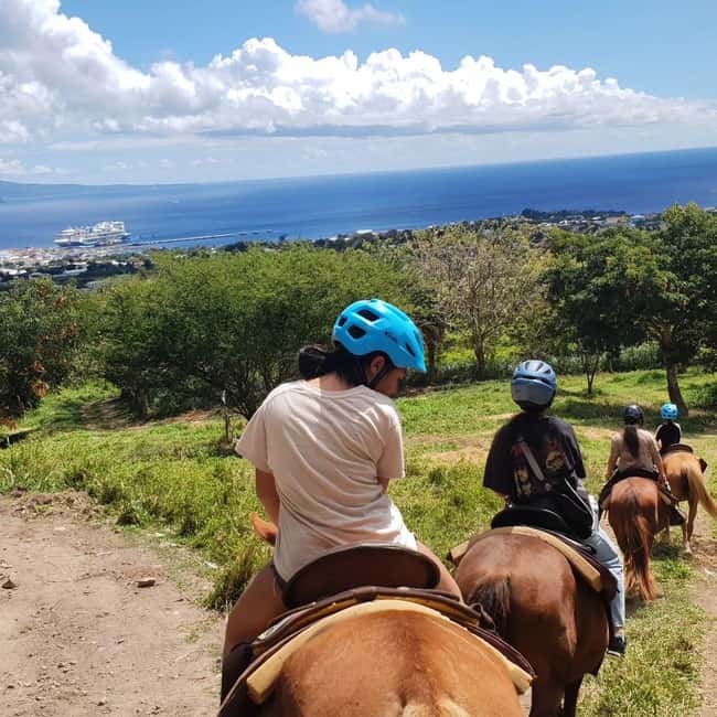 Scenic Horseback Trail - Scenic Horseback Trail in Nevis and Basseterre: what you are really signing up for