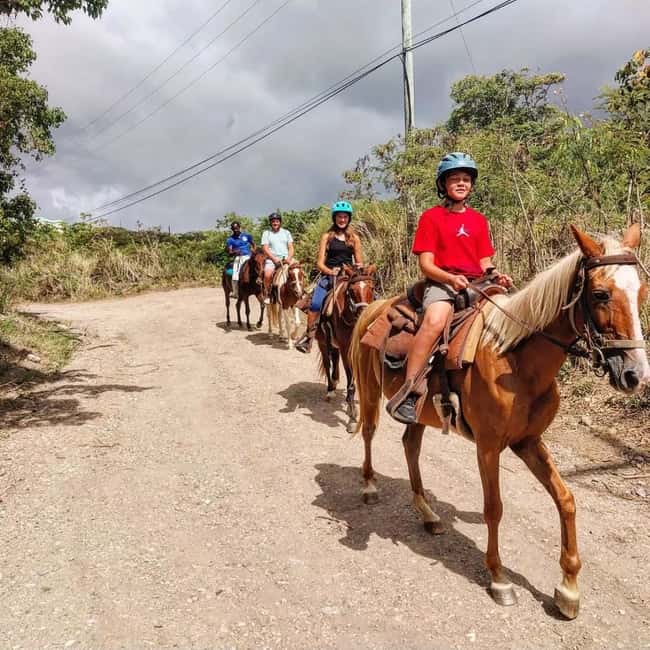 Scenic Horseback Trail - Basseterre viewpoints and your guided pace on horseback