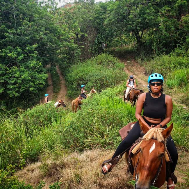 Scenic Horseback Trail - Transfers and who this works for