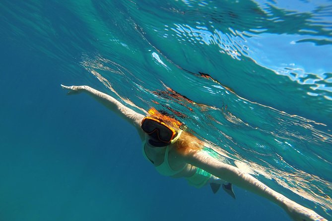 Scenic Speed-Boat Snorkel Tour - The Boat Ride: Caribbean Views and the Ride With Passion