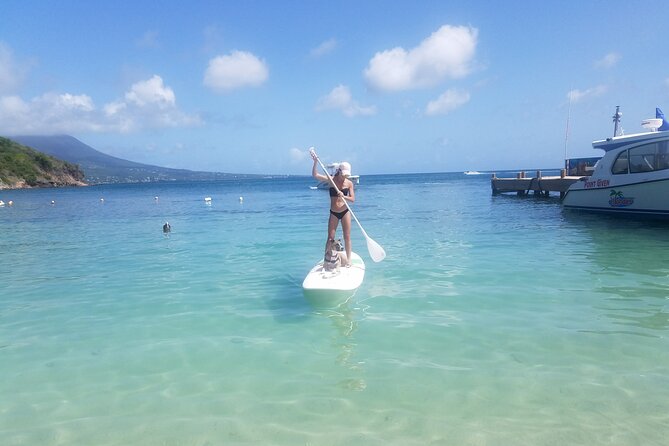 Scenic Stand-up Paddleboarding Adventure Tour - A Scenic SUP route that trades crowds for close-up coastline