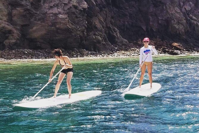 Scenic Stand-up Paddleboarding Adventure Tour - Price and value: is $80 per person fair for this kind of tour?