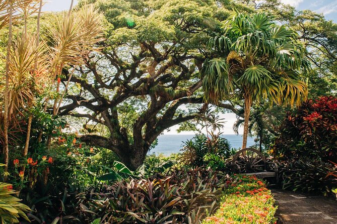 St. Kitts Full Island Excursion - A Full-Island Route That Makes St. Kitts Feel Understandable