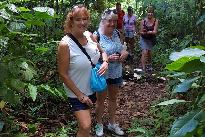 St Kitts Half-Day Rainforest Tour - Key things to know before you go
