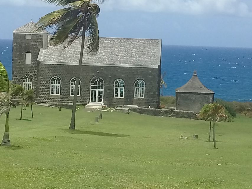St. Kitts Island Half-Day Bus Tour - Should you book this St. Kitts half-day tour?