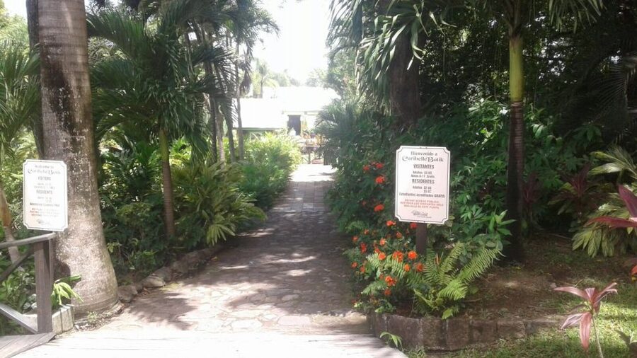 St. Kitts Island Half-Day Bus Tour - What the tour includes, what it does not, and how the group experience feels