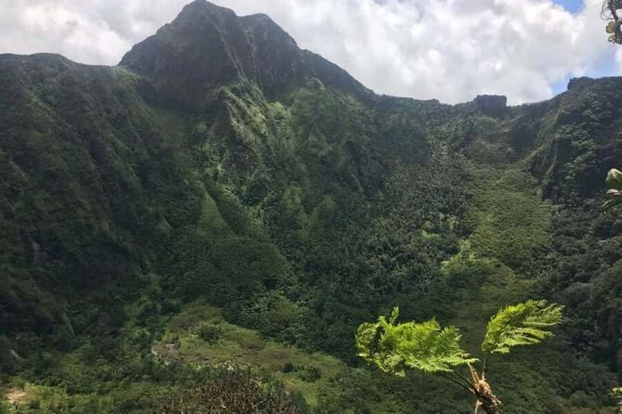 St Kitts: Jungle Bikes Off-Road ATV Tour - Quick Take: what matters most before you book