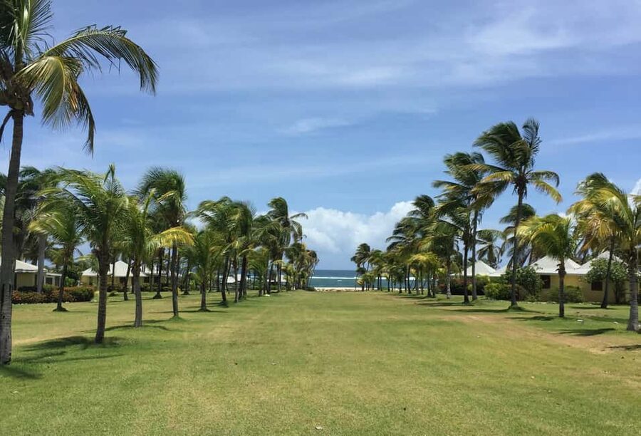 St. Kitts: Nevis Island Tour and Beach Time with Lunch - Key highlights at a glance