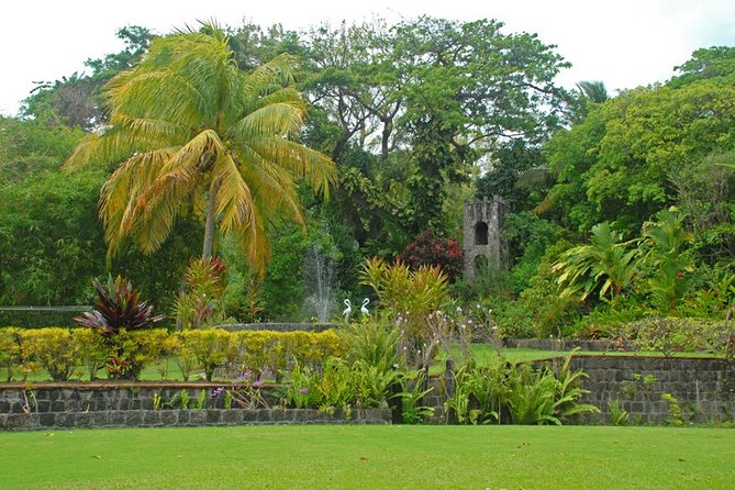 St. Kitts Rainforest Tour - A river dip after you earn it
