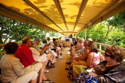 St. Kitts Scenic Train Experience