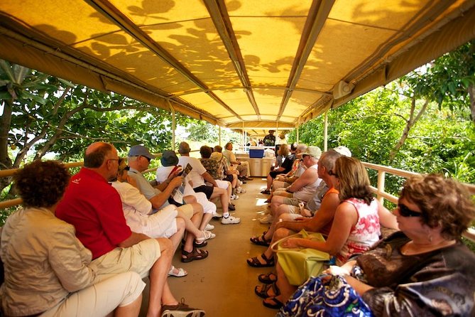 St Kitts Scenic Train Tour (Hotel or Ship) - What you will see: black sand beaches, cane fields, and old plantation traces