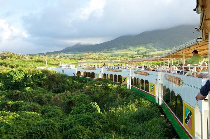 St Kitts Scenic Train Tour (Hotel or Ship) - Price and value: is $155 a smart buy or a stretch?