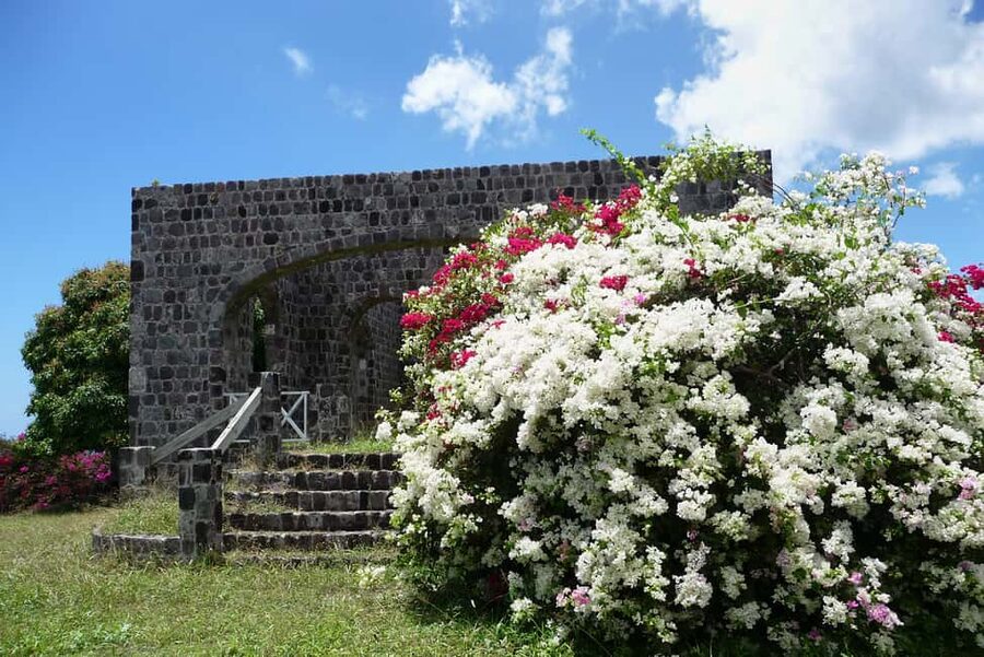 St. Kitts: Top Sights Guided Van or Open-Air Safari Tour - Wingfield Plantation rum stop: local flavor and a low-pressure break
