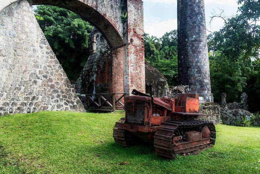 St. Kitts: Top Sights Guided Van or Open-Air Safari Tour - Romney Manor botanical gardens: strolling in an 18th-century estate setting