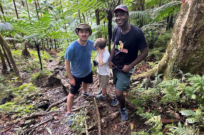 St.Kitts Volcano Hike To Mt. Liamuiga (Highest Peak On Island) - Should you book if you are fit, or if you are not?