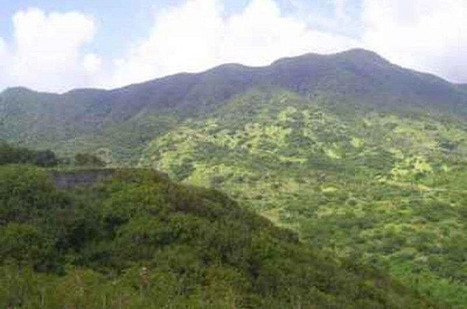 St Kitts Volcano Hiking and Sightseeing Excursion - Mount Liamuiga: the climb you’re signing up for