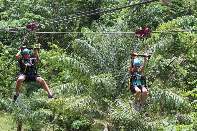 St. Kitts Zipline Experience - Key things to know before you go