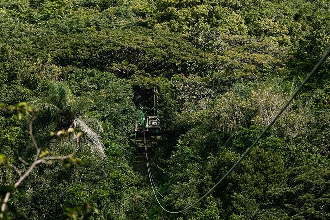 St. Kitts Zipline Experience - The 5-line run: what you actually do for each stretch
