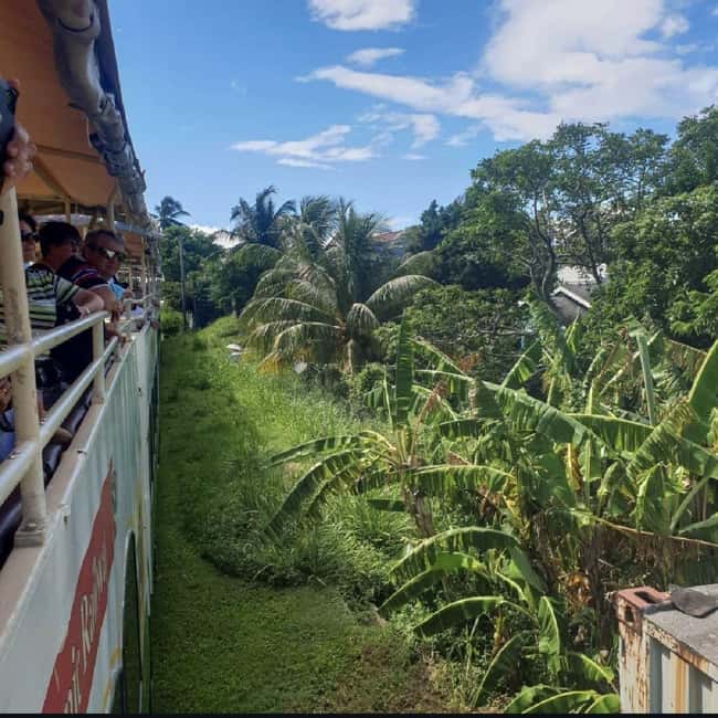 Sugar Train Tour & Drinks|Pick-Up &Drop Off From Cruise Port - Key points you will feel right away