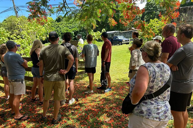 The Best of Both Worlds {The Duel Tour Of St. Kitts & Nevis} - Charlestown and the Nevis Highlights: Hamilton, Churches, and Quick Stops