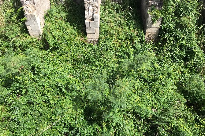 The Brimstone Hill Fortress Hike - Brimstone Hill Fortress: What Makes This Hike Worth Your Time